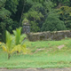 Portobelo, las fortificaciones. El muralln y la garita 5